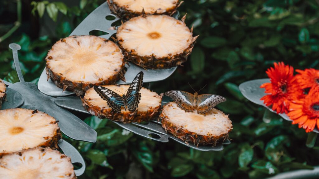 Секреты аэропорта Чанги - вид на сад и терминал