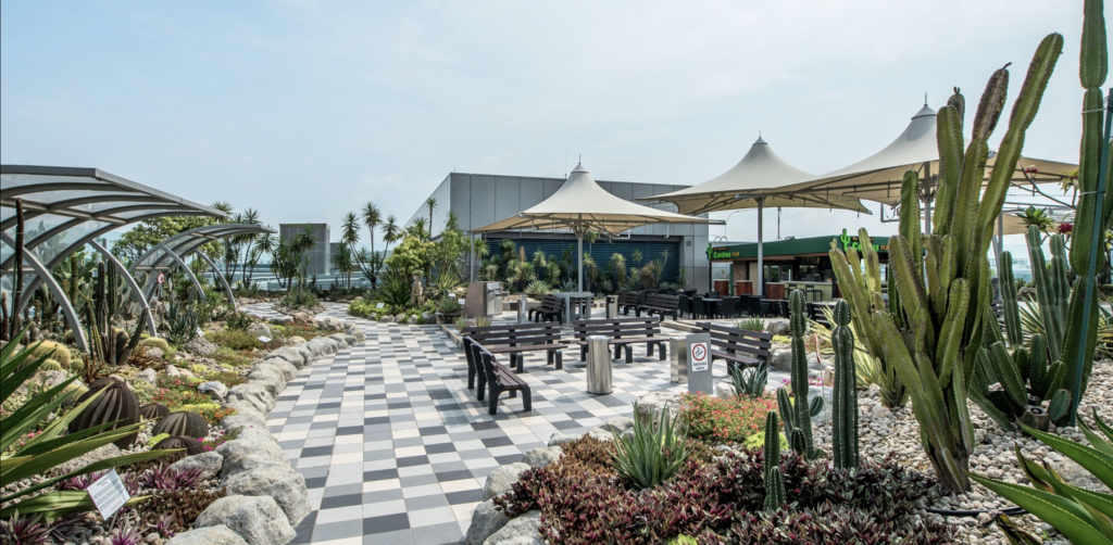 Секреты аэропорта Чанги - вид на сад и терминал