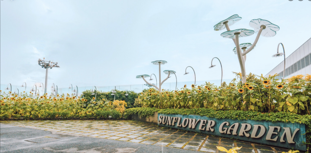 Секреты аэропорта Чанги - вид на сад и терминал