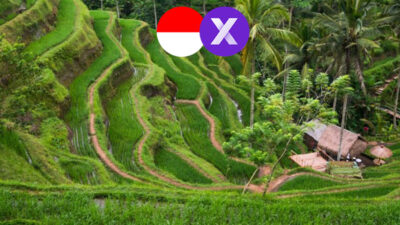 Ubud (Bali, Indonesia